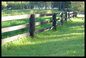 Post and rail fences in GV Agistment area