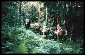 Riding the trails