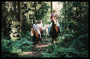Riding the trails