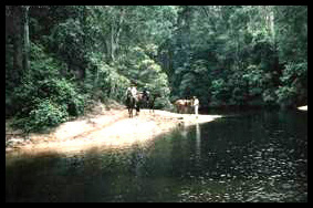 Stopping at the Rockpools