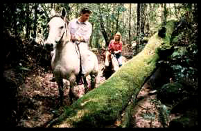 Riding the trails