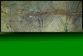 Aboriginal artwork by local Darkinjung artist
