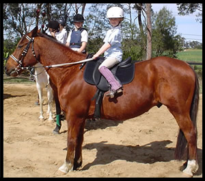 Riding Lessons