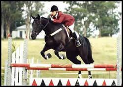 Renee Carr and 'Aces High' at the Equitation State Titles