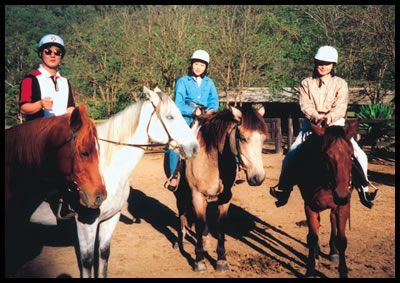 International tour group